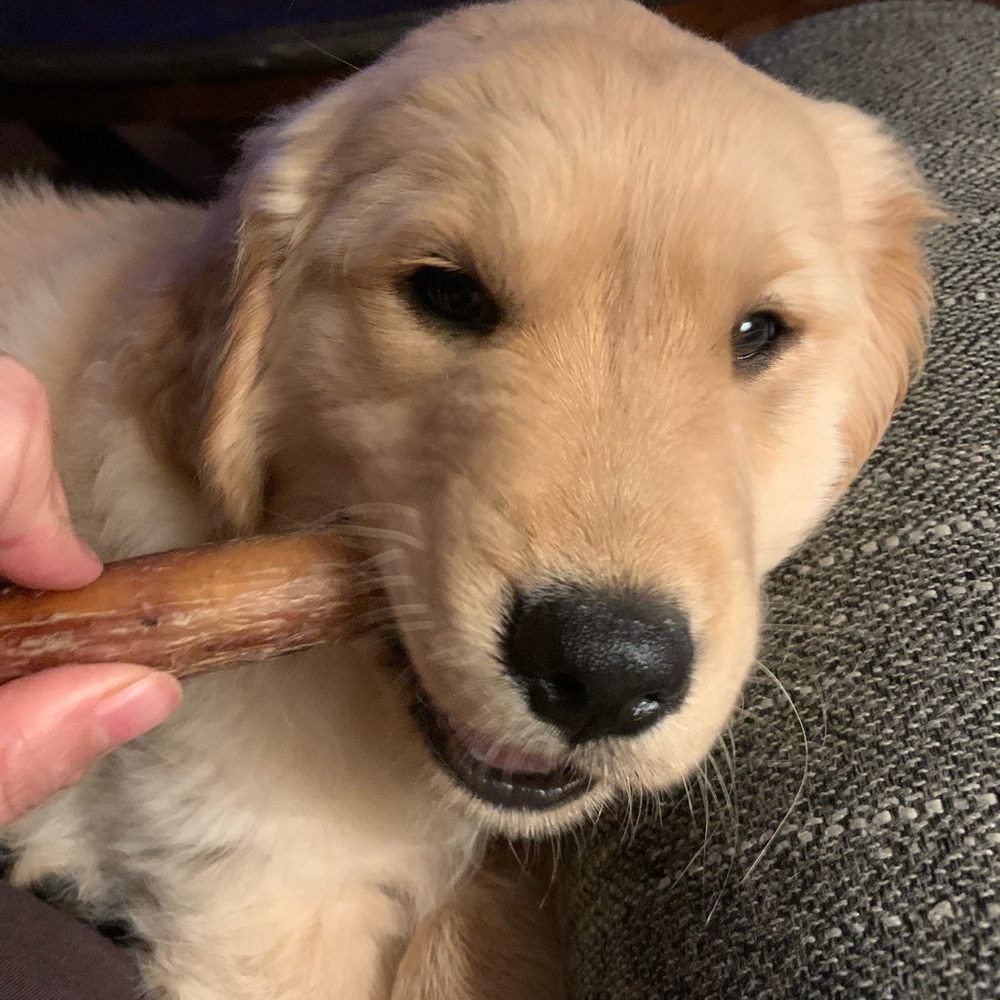 Meet your Posher, Vivi